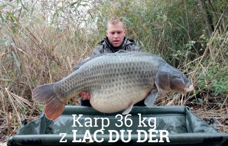 karp-36kg