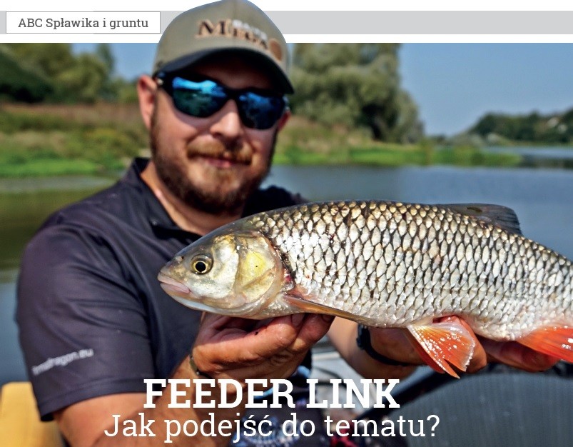 feeder-link