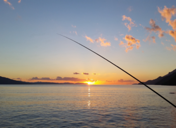 Łowienie na bata – skuteczna i prosta technika na dużą ilość ryb